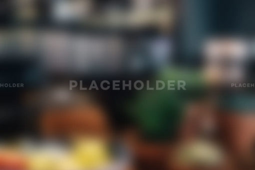 placeholder03